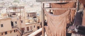 fes leather dyeing