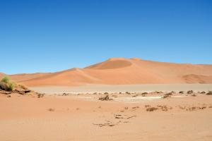 namib-sand-dunes