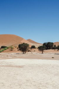 namibia desert