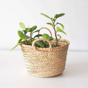 oval storage basket
