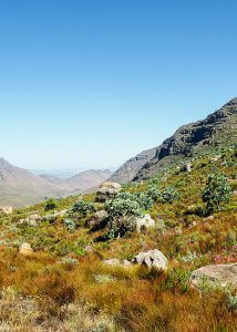 cederberg mountains