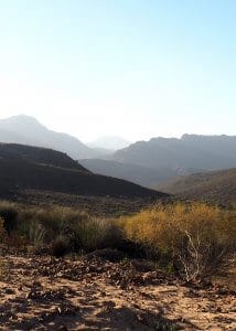 cederberg hills