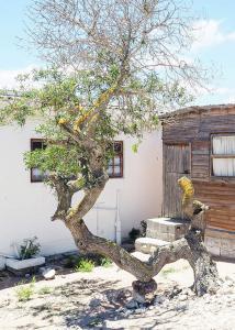 patternoster house