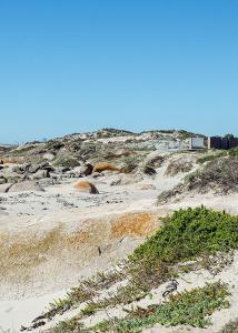 patternoster beach