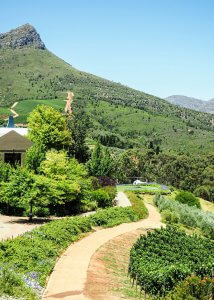 tokara landscape