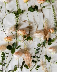 peach flowers laid out on a white background we are nomads