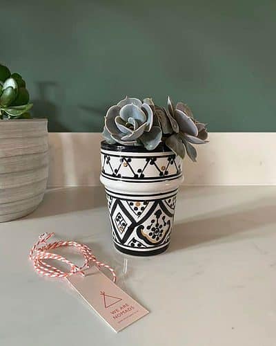 zwak cup
