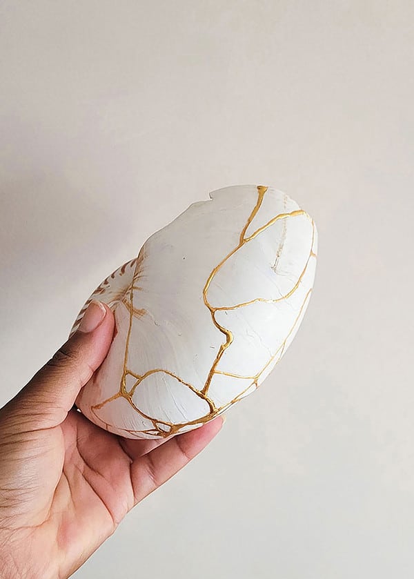 Kintsugi Shells Kintsugi Repair of a Nautilus Shell | We Are Nomads